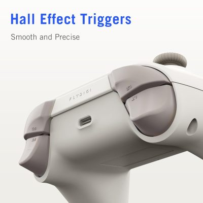 Flydigi Dune Fox Wireless Controller